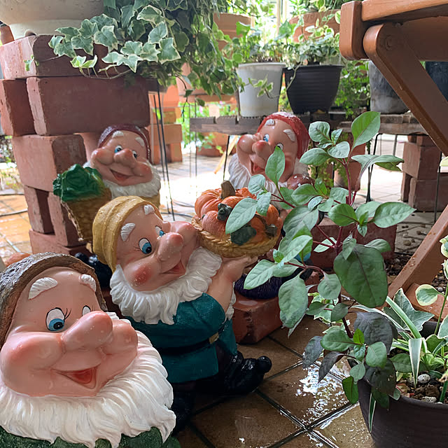 Aqettyさんの実例写真