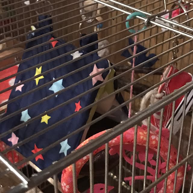 pipiさんの実例写真