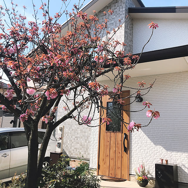 rizumu4649さんの実例写真