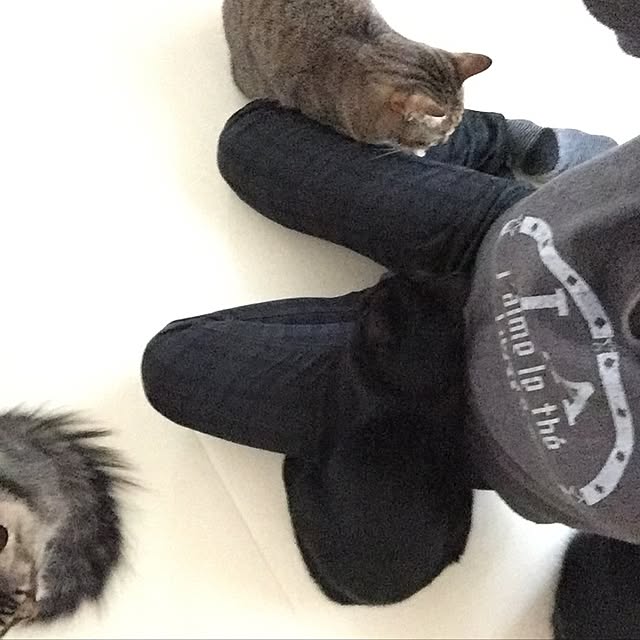 yuki0511さんの実例写真