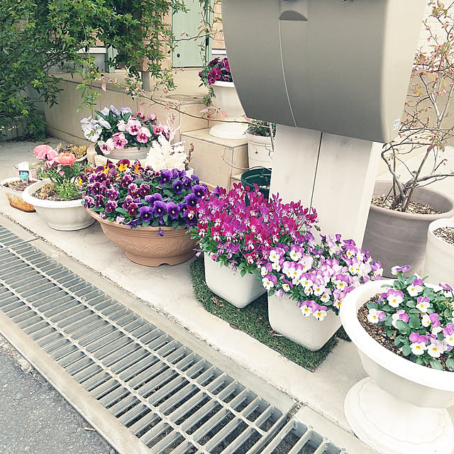 seleneさんの実例写真