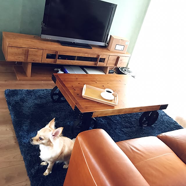mameさんの実例写真