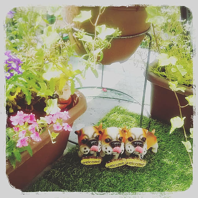 minaさんの実例写真