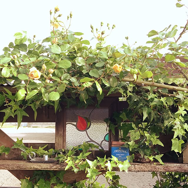 misacoさんの実例写真