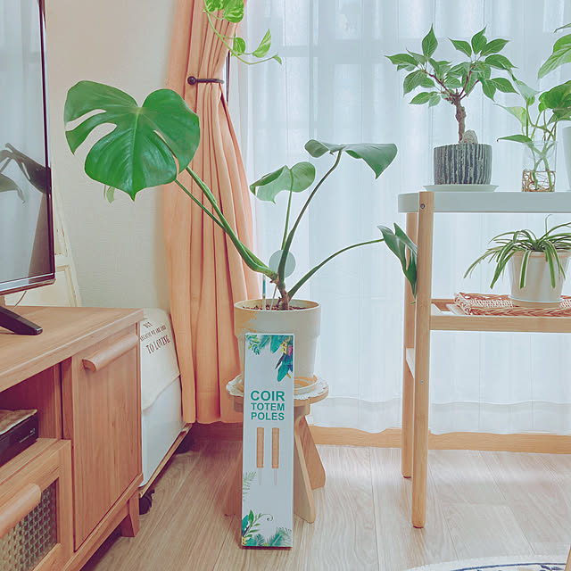 yuyuさんの部屋