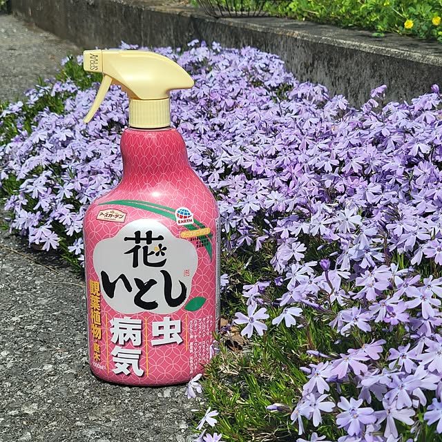 reireiさんの部屋