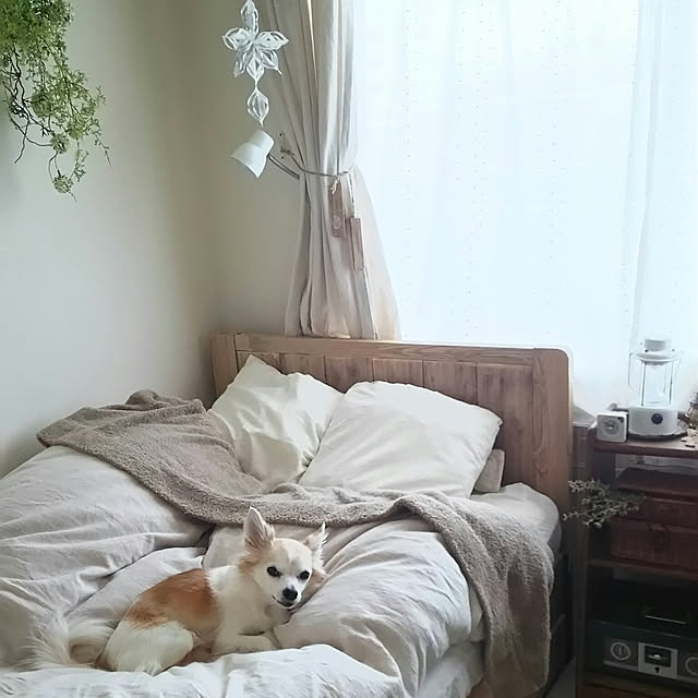 nonさんの実例写真