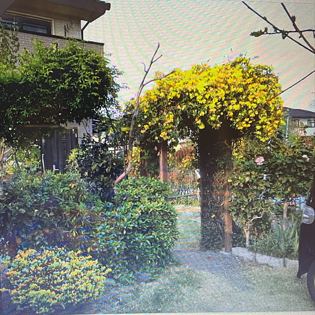 ronronさんの実例写真
