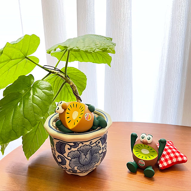 miechuraさんの実例写真