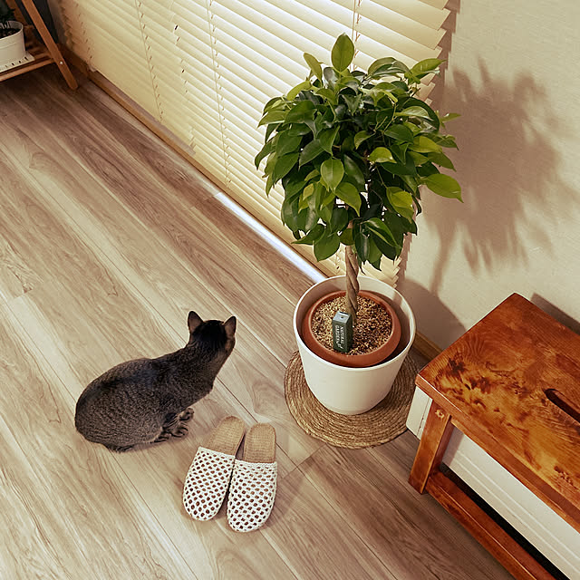 miwaさんの実例写真