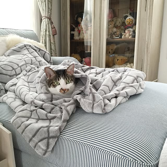yuchiさんの実例写真