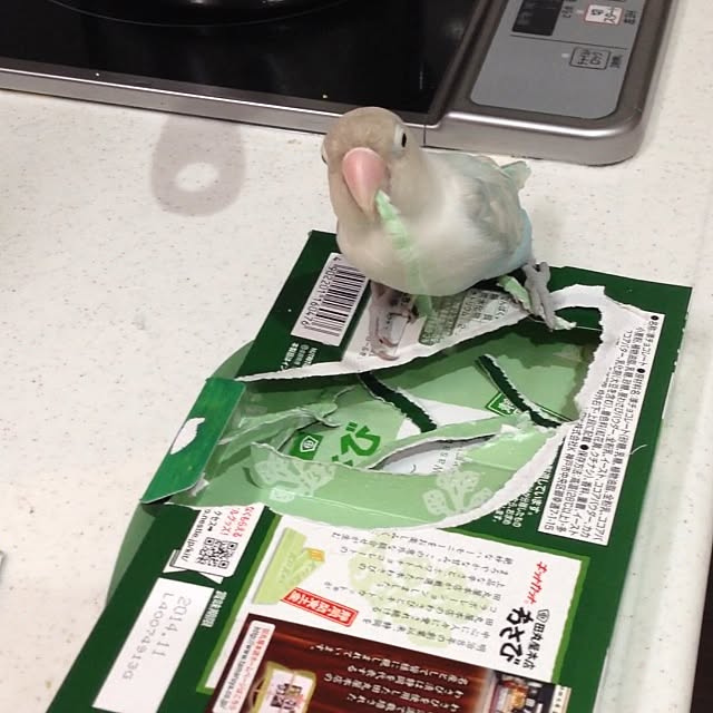 hanakoさんの実例写真