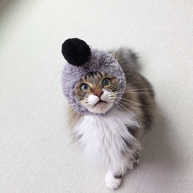 yuchiさんの実例写真