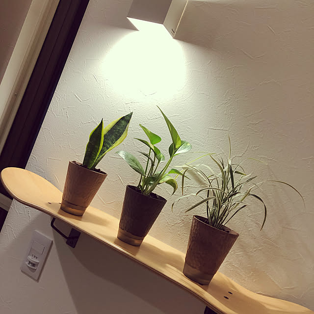 Daikiさんの実例写真
