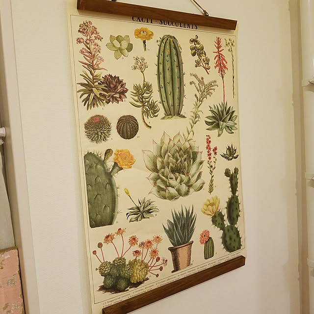 m.papaさんの実例写真