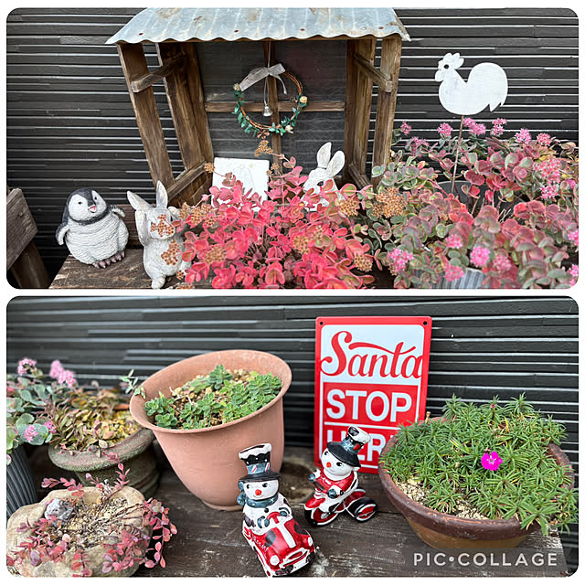 CoCo0617さんの部屋