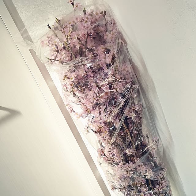 annaさんの実例写真