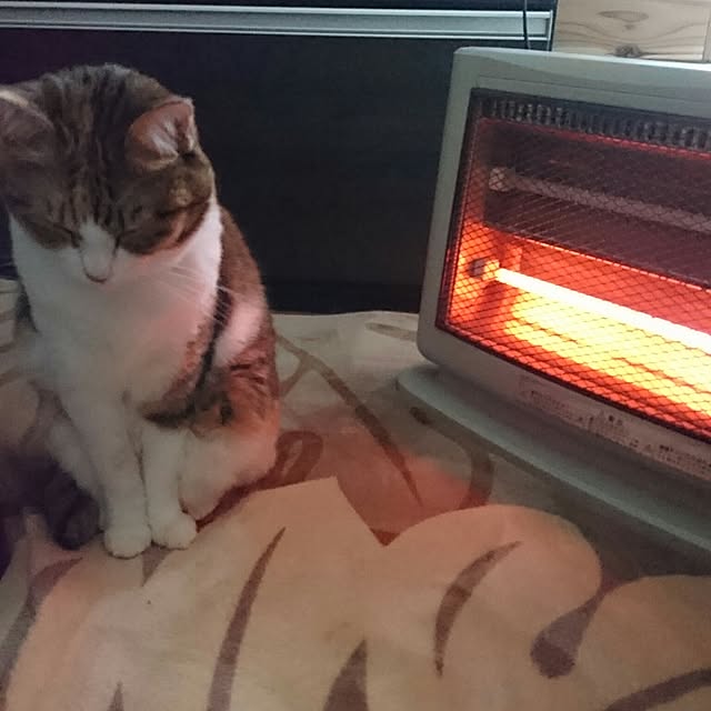 berariさんの実例写真