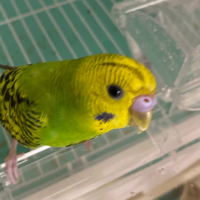 ohanaさんの部屋