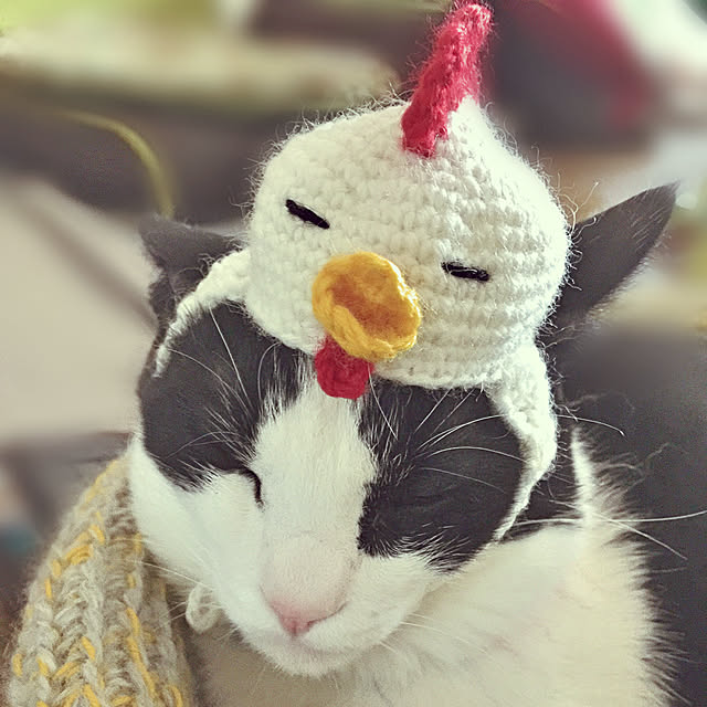 nisannisan39さんの実例写真
