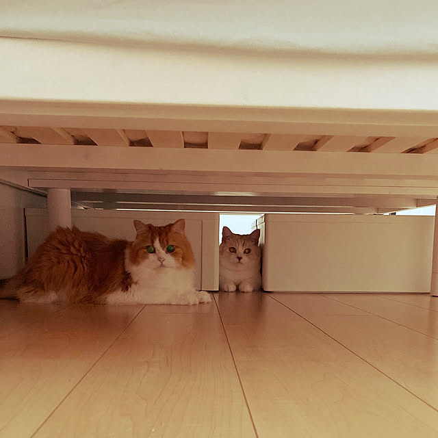 H.Tさんの実例写真