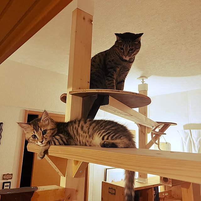 Mさんの部屋