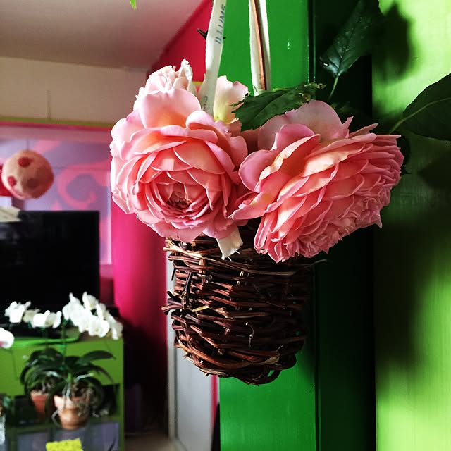kimishigureさんの実例写真