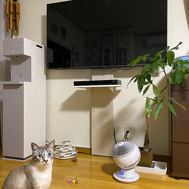 konanaka08さんの部屋