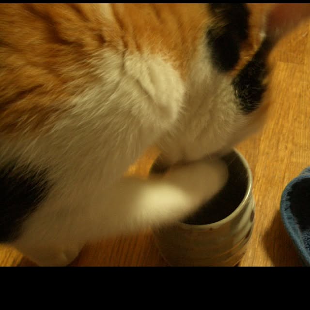 キッチンのインテリア実例 - 2015-07-17 08:23:58