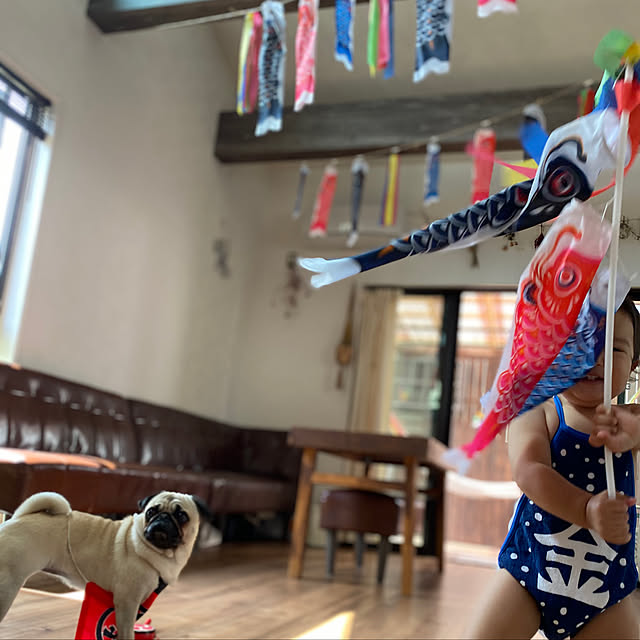 amepuliさんの実例写真