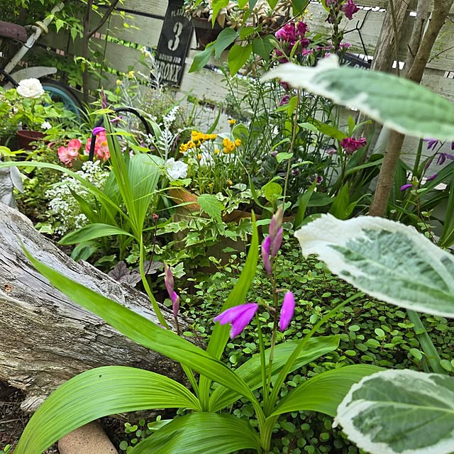 min_nimさんの部屋