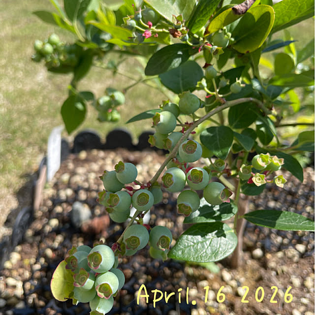 moto_nyaiderさんの実例写真