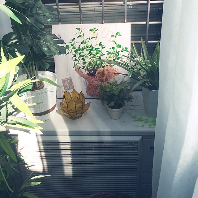 chacoさんの実例写真