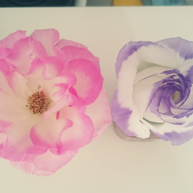 kuremaさんの実例写真