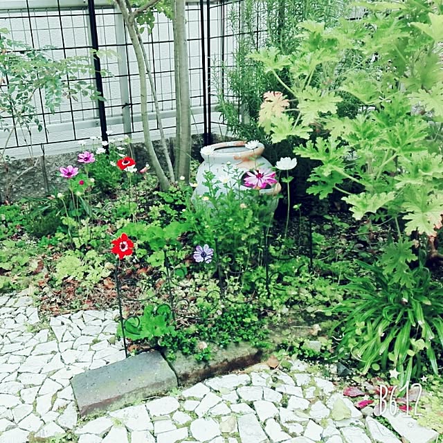 7tuさんの実例写真