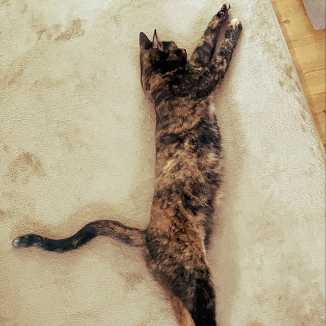 wahahaさんの部屋