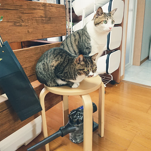 nachiさんの実例写真