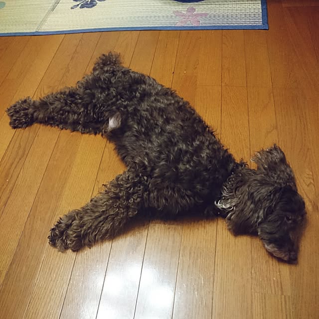 mimi828さんの実例写真