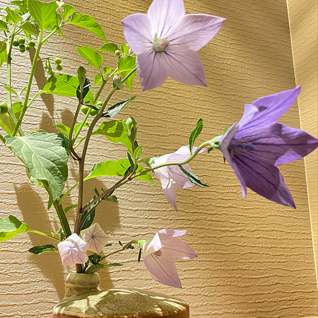 yuriireeenさんの実例写真