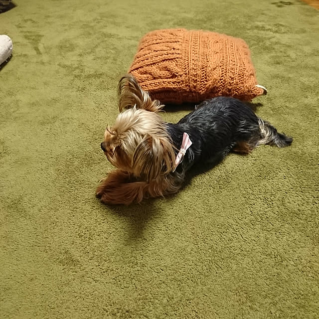 akiさんの実例写真