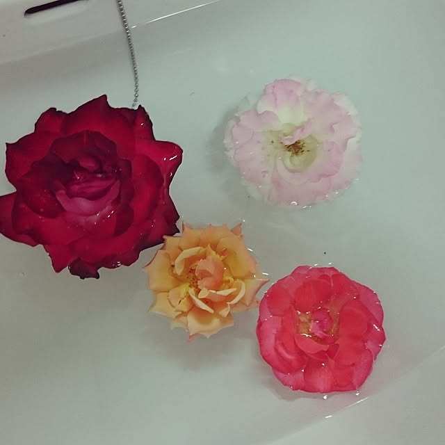 neko_daisukiさんの実例写真