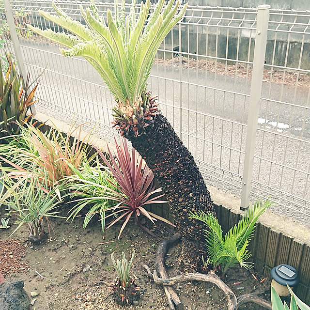 ot-gardenさんの実例写真