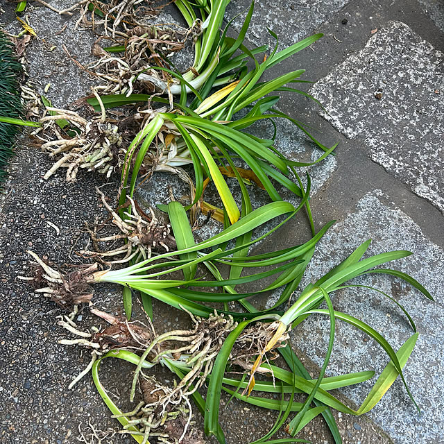 fumikoiさんの部屋