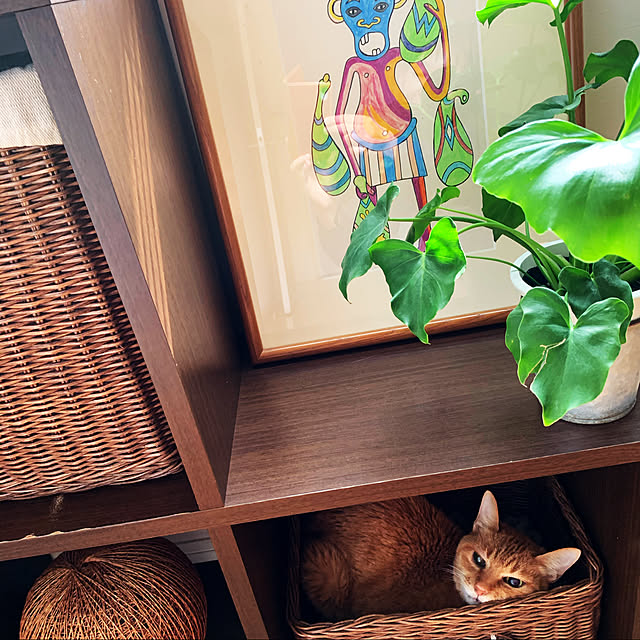 ochoriさんの実例写真
