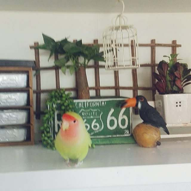 yukkieさんの実例写真
