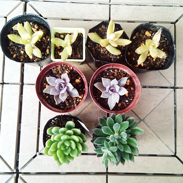 VERANDARJUNさんの実例写真