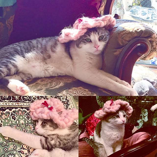emmyyさんの実例写真
