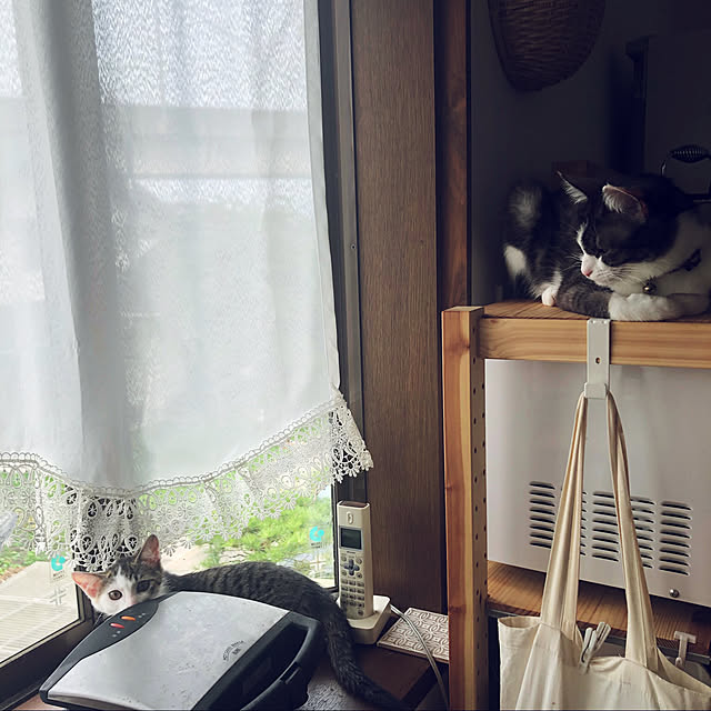 a.f.さんの実例写真