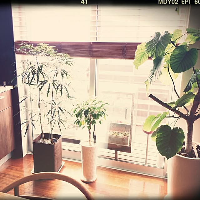 leafplusさんの実例写真