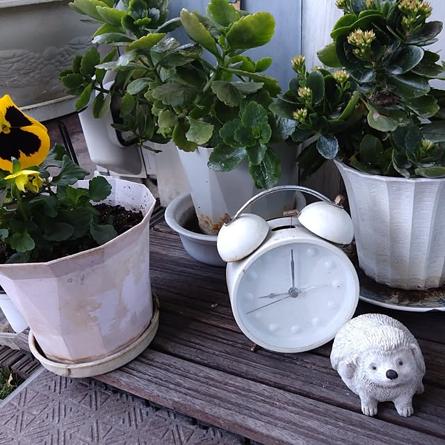 kakkaさんの部屋